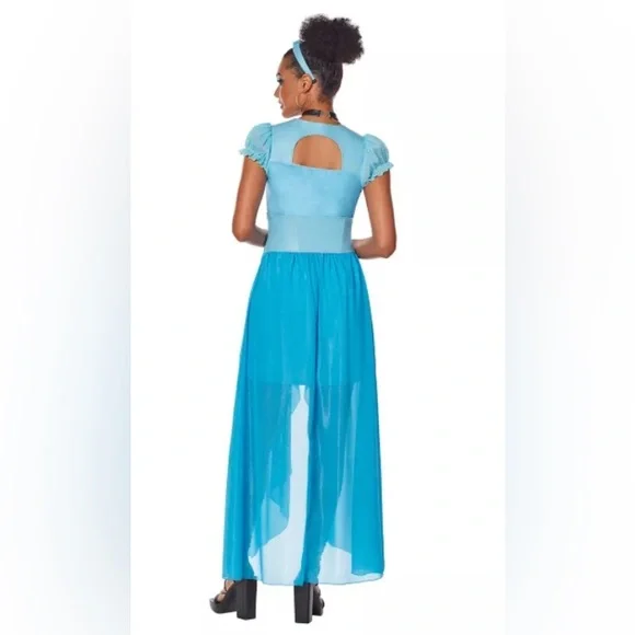 Adult Cinderella Dress Costume- Disney Princess, New in Package, size L 12-14 - Picture 2 of 2